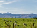 Guests will appreciate the countryside views from the property Guests will appreciate the countryside views from the property