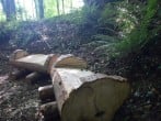 Beautiful handcrafted logs makes for a great seating area Beautiful handcrafted logs makes for a great seating area