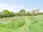 Lodge in Crediton, Mid and East Devon (56767) #27 Lodge in Crediton, Mid and East Devon (56767) #27
