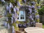 Cottage in Caernarfon, North Wales (56989) #22 Cottage in Caernarfon, North Wales (56989) #22