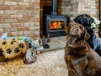 Cottage in Cheltenham, Gloucestershire (58873) #4 Cottage in Cheltenham, Gloucestershire (58873) #4