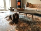 Cottage in Melton Mowbray, Leicestershire (61788) #5 Cottage in Melton Mowbray, Leicestershire (61788) #5