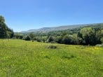 17 acres of land with horses, chickens and donkeys 17 acres of land with horses, chickens and donkeys