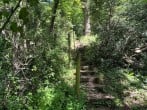 Many interesting paths to follow Many interesting paths to follow