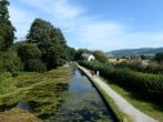 Walk along the Montgomery Canal