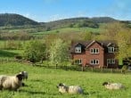 You'll meet the friendliest of neighbours here You'll meet the friendliest of neighbours here