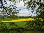 Cottage in Richmond, North Yorkshire (73813) #10 Cottage in Richmond, North Yorkshire (73813) #10