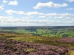 Nearby views across Farndale Nearby views across Farndale