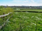 Cottage in Swansea, South Wales (74221) #4 Cottage in Swansea, South Wales (74221) #4