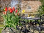Cottage in Wareham, Dorset (74396) #20
