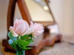 Cottage in Bridport, Dorset (74448) #12
