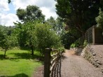 The orchard and path to the property