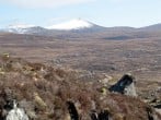 Cottage in Alness, The Highlands (75937) #17
