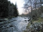 Cottage in Alness, The Highlands (75937) #18