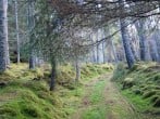 Cottage in Alness, The Highlands (75937) #20