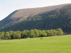 Cottage in Alness, The Highlands (75937) #21