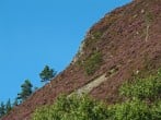 Cottage in Alness, The Highlands (75937) #22