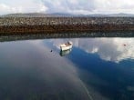 Cottage in Isle Of Barra, Outer Hebrides (76211) #16 Cottage in Isle Of Barra, Outer Hebrides (76211) #16