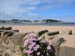 Nearby sand dunes at Instow Nearby sand dunes at Instow