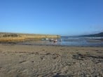 Cottage in Caernarfon, North Wales (77891) #18