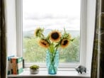 Cottage in Penrhyndeudraeth, North Wales (78300) #12