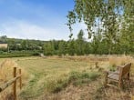 Communal Dog Paddock Communal Dog Paddock