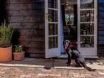 Cottage in Brockenhurst, Hampshire (78767) #18 Cottage in Brockenhurst, Hampshire (78767) #18