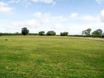 Open fields as far as the eye can see Open fields as far as the eye can see