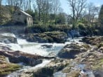 Breath-taking views at Cenarth Falls Breath-taking views at Cenarth Falls