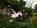 Enjoy the beautiful gardens Enjoy the beautiful gardens
