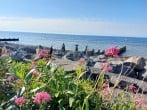 Explore the pebbled beach at Aberaeron Explore the pebbled beach at Aberaeron