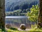 Cottage in Callander, Stirling and Clackmannanshire (79334) #23 Cottage in Callander, Stirling and Clackmannanshire (79334) #23