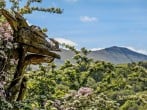Cottage in Brecon, Mid Wales (79746) #38 Cottage in Brecon, Mid Wales (79746) #38