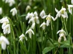 Cottage in Crickhowell, Mid Wales (79776) #18 Cottage in Crickhowell, Mid Wales (79776) #18