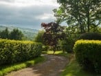 Cottage in Crickhowell, Mid Wales (79822) #10 Cottage in Crickhowell, Mid Wales (79822) #10