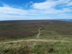 House in Clyro, Mid Wales (79871) #25
