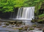 Cottage in Brecon, Mid Wales (79914) #29 Cottage in Brecon, Mid Wales (79914) #29