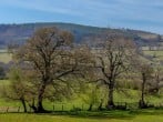 Cottage in Brecon, Mid Wales (79931) #34 Cottage in Brecon, Mid Wales (79931) #34