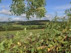 Cottage in Brecon, Mid Wales (79939) #23 Cottage in Brecon, Mid Wales (79939) #23
