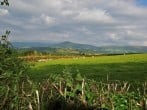 Cottage in Brecon, Mid Wales (79939) #24 Cottage in Brecon, Mid Wales (79939) #24