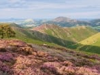 Cottage in Llanymynech, Mid Wales (80686) #52 Cottage in Llanymynech, Mid Wales (80686) #52