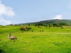 House in Melmerby, Cumbria (82493) #11 House in Melmerby, Cumbria (82493) #11