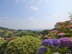 Cottage in Abergavenny, South Wales (83894) #29