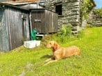 Cottage in Kendal, Cumbria (88095) #31 Cottage in Kendal, Cumbria (88095) #31