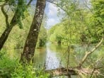 Cottage in Blandford Forum, Dorset (88193) #16 Cottage in Blandford Forum, Dorset (88193) #16