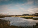 Cottage in Aberdovey, North Wales (88304) #27