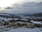 Cottage in Corwen, North Wales (88598) #25 Cottage in Corwen, North Wales (88598) #25