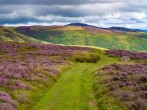 Explore nearby Moel Famau and the Clwydian Range