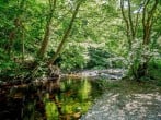 Cottage in Abergele, North Wales (88973) #25 Cottage in Abergele, North Wales (88973) #25