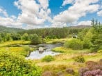 Guests are free to explore the150 acres of grounds Guests are free to explore the150 acres of grounds